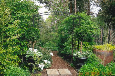 Arch Entrance Arbor 